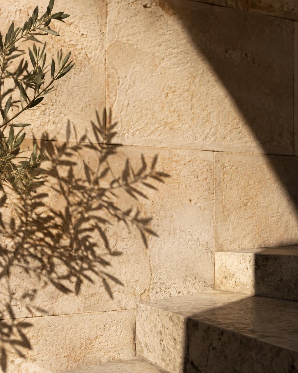 Sunlight and olive-branch shadow across a limestone wall and stair