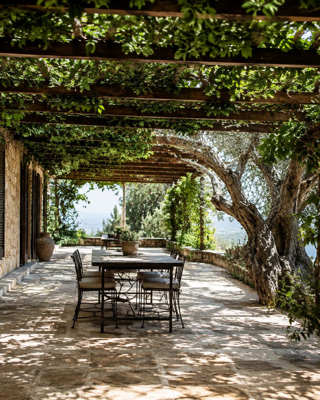 Shaded pergola terrace beneath an ancient olive tree